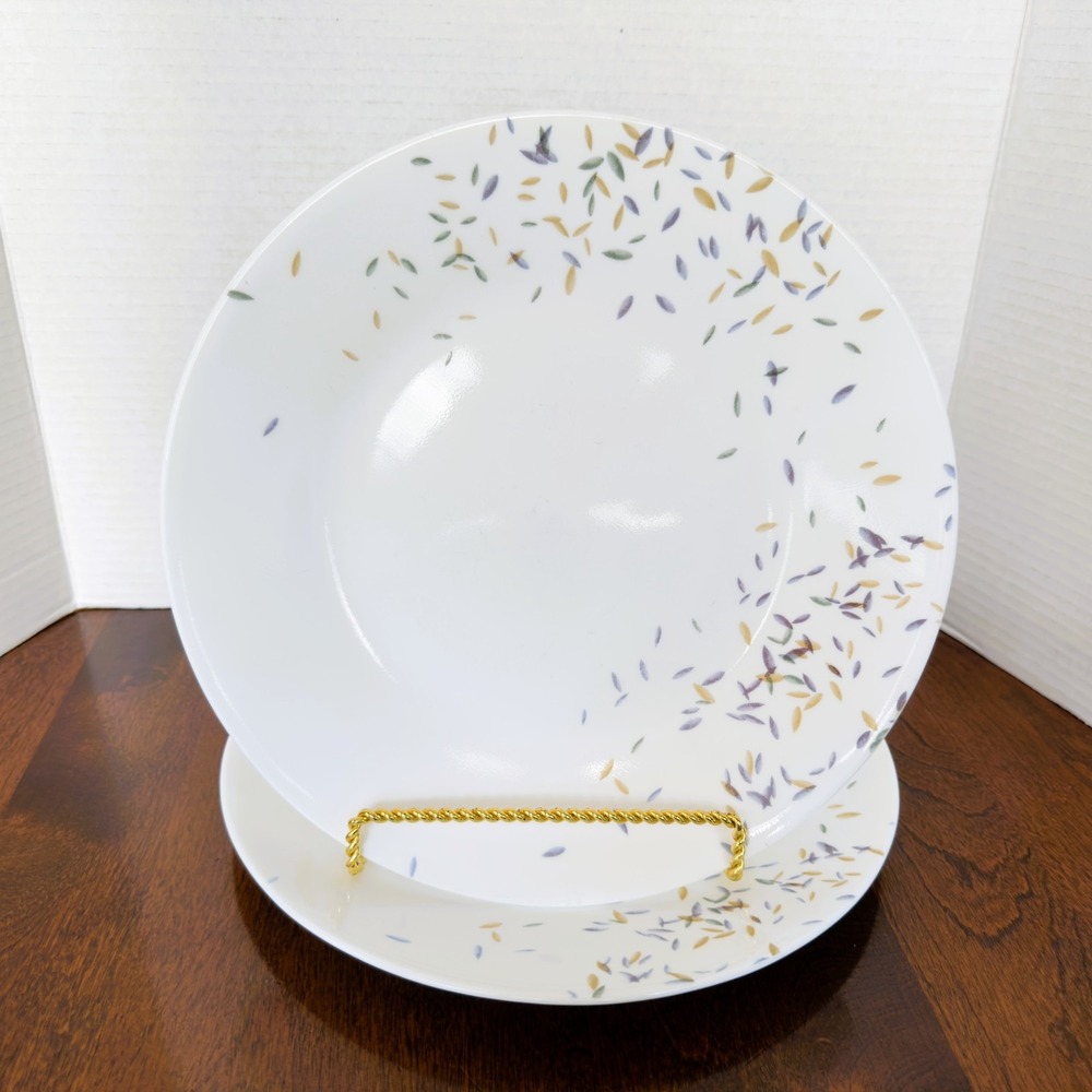 Corelle AUTUMN DANCE Dinner Plates 11" Set of 2